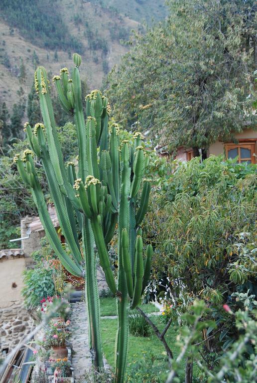 Hostal Iskay Ollantaytambo Exterior photo