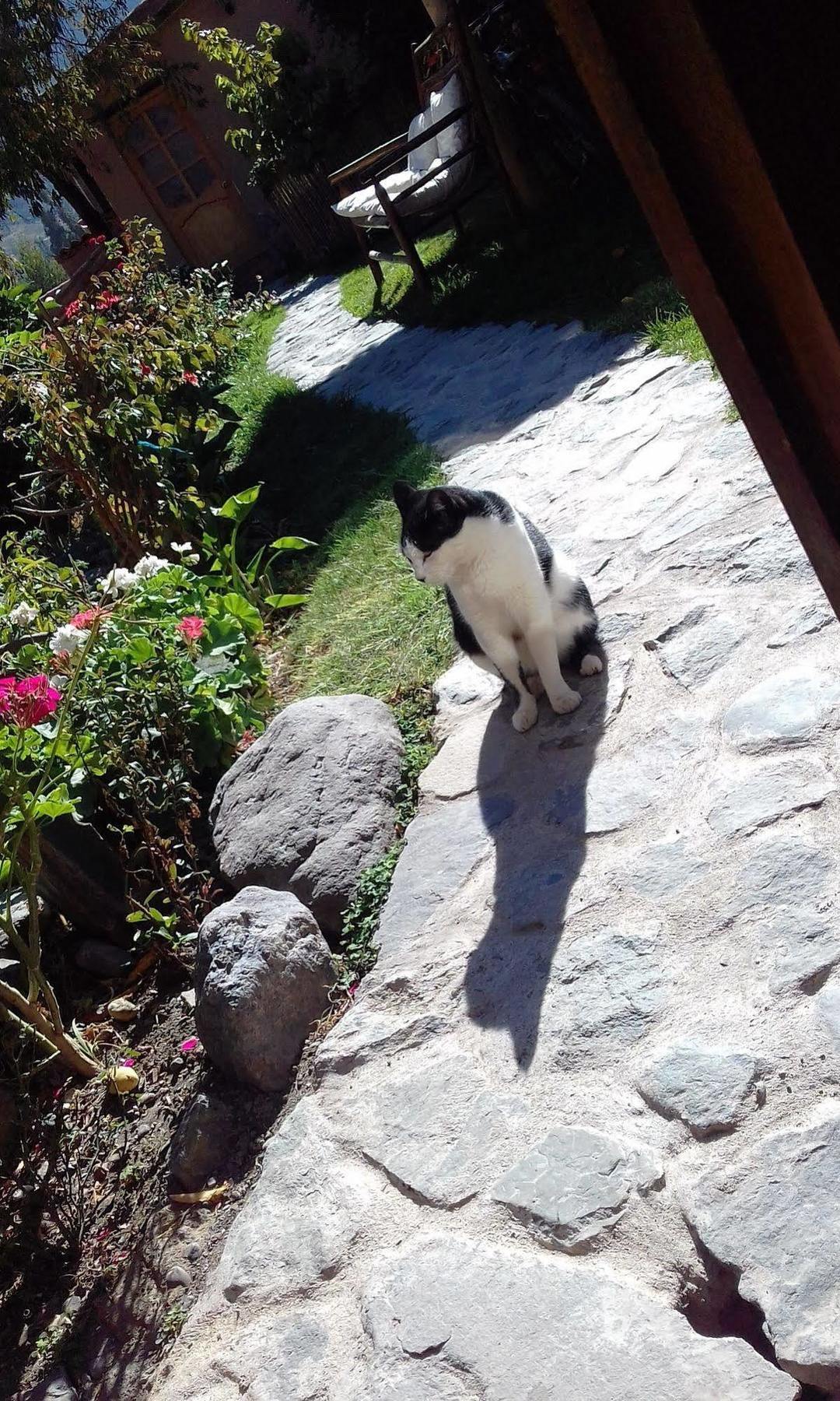 Hostal Iskay Ollantaytambo Exterior photo